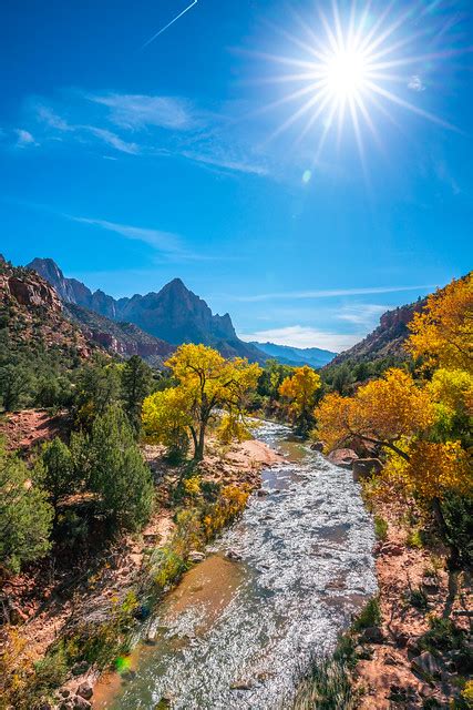 Peak Fall Colors Zion Np Zion National Park Fall Foliage Utah Autumn