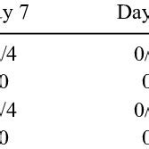 Immunohistochemical staining of IFN γ and TNF α in EAO affected and