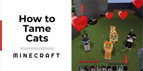 How To Tame A Cat In Minecraft - Make A Feline Friend | GameGrinds