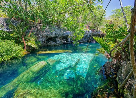 Los Top 7 Mejores Cenotes Para Visitar En Tulum Tips Para Tu Viaje