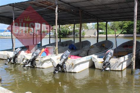 Pescadores Ribere Os Del Carmen Solicitan Que Les Regresen El Subsidio