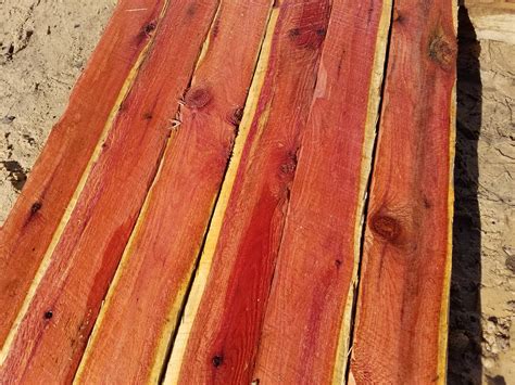 Eastern Red Cedar 1x 4 12x 9 2 6 Board Bundle