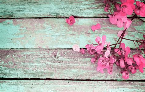 🔥 Download Wallpaper Flowers Spring Pink Vintage Wood by @shanel | Wallpapers For Spring ...