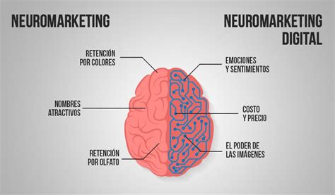 Neuromarketing Qué es y cómo aplicarlo en tu empresa