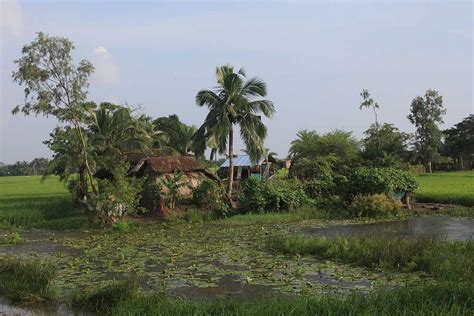 Sunderban Mangrove Wetland & Tiger Reserve | India Tiger Safari