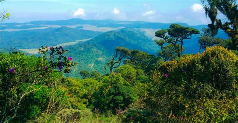 Horton Plains National Park | Wonders of Ceylon