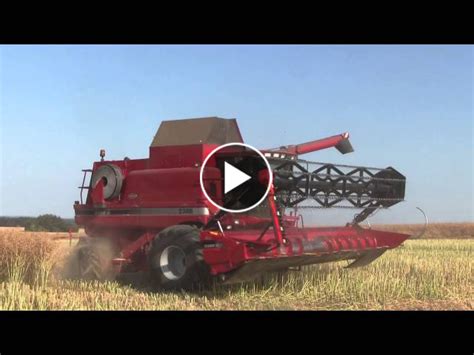 Canola Harvest CASE IH 2388 Axial Flow Harvest 2014