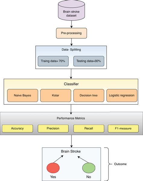 Figure 1 From Machine Learning Models For Early Brain Stroke Prediction