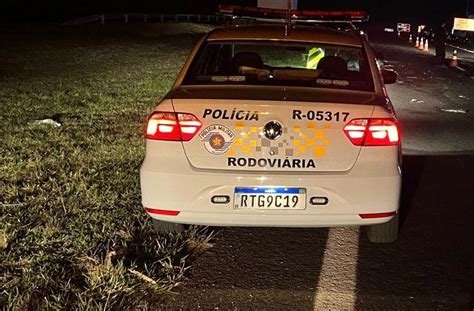 Motorista Tenta Desviar De Cavalo Atropelado Em Rodovia De Bauru