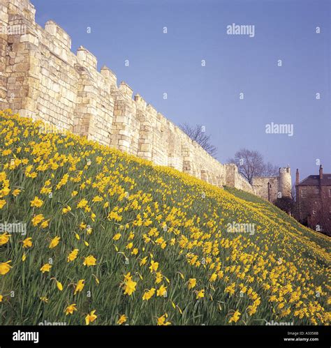 York City Walls Stock Photo - Alamy