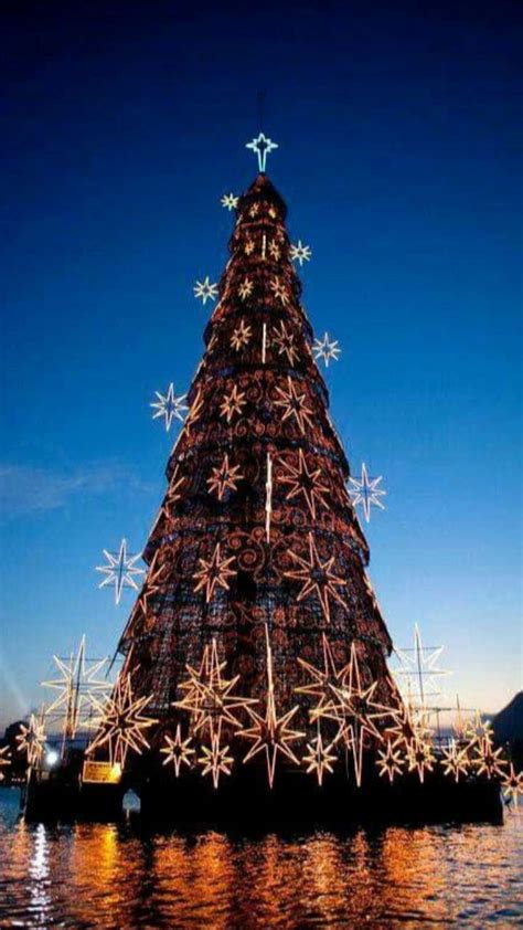 Top 8 Iconic Christmas Trees In The World