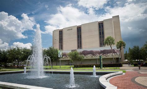 USF Libraries - Home