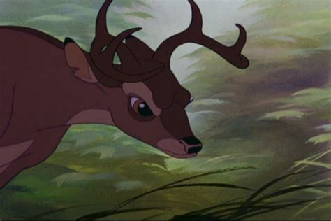 Bambi's Mother vs Ronno? Poll Results - Classic Disney - Fanpop