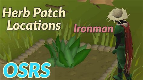 Herb patches osrs