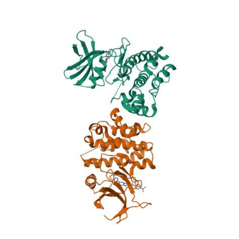 Rcsb Pdb Vw Crystal Structure Of Human Apoptosis Signal Regulating