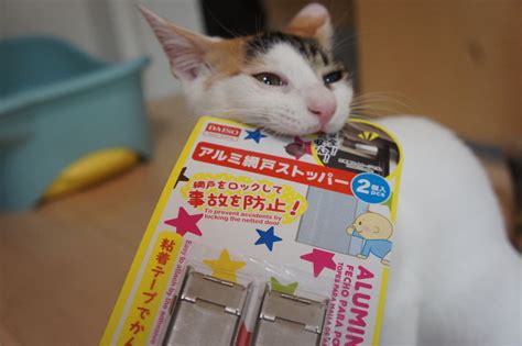 網戸を開ける猫には100均で購入した網戸ストッパーを設置！100円で脱走防止出来るなら安いモノ 猫雨露霜雪！