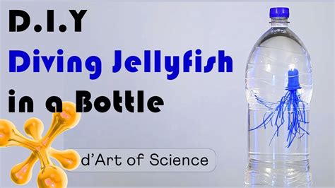 How To Make A Cartesian Diver Using A Dropper Cartesian Diver