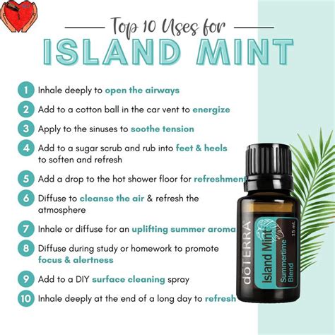 Not Sure How To Use Island Mint Check Out These Top 10 Uses For Island Mint Need To Place An