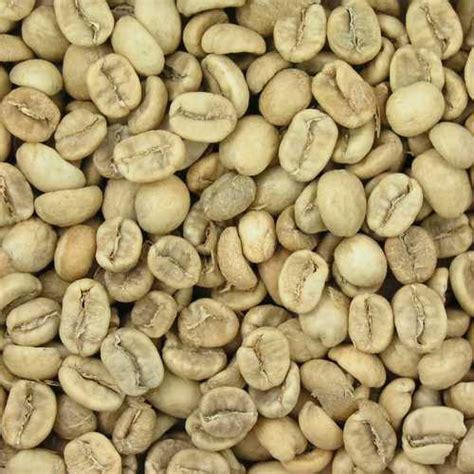 Common Arabica Green Coffee Beans at Best Price in Mumbai | Toffee