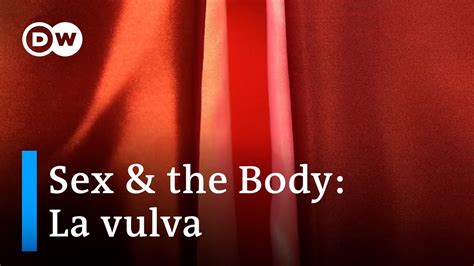 Sex And The Body La Vulva Youtube