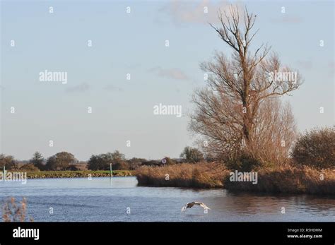 The River Bure Near St Benet S Abbey Norfolk Broads England Uk Stock