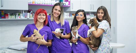 Animal Health Industry « Animal Medicines Australia