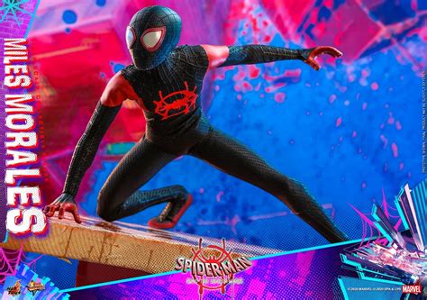 Hot Toys 蜘蛛俠跳入蜘蛛宇宙 主角Miles Morales 比例珍藏人偶 Toys Zone D 玩具兄弟 Figures Price List Reviews