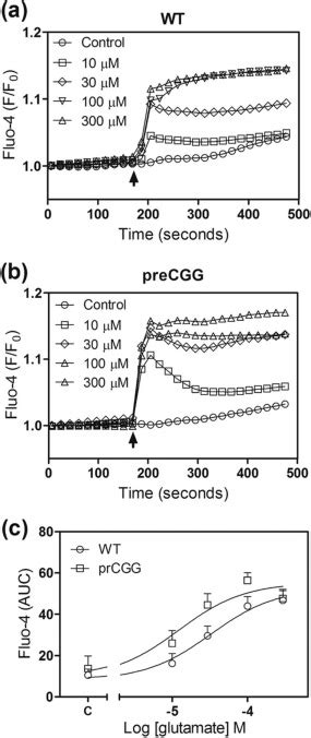 Enhanced Asynchronous Ca2 Oscillations Associated With Impaired