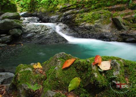 Lagodekhi Nature Reserve