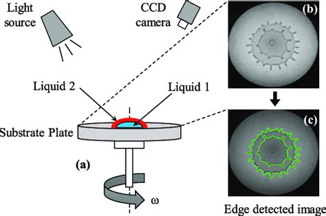 Schematic Of The Experimental Setup A Spinning Disk Assembly And