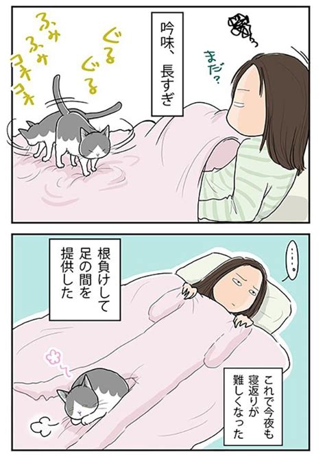 ＜画像391 644＞【ネコ漫画】個性あふれる3匹の猫とのドタバタな日常を描いたコミックエッセイを一気読み！｜ウォーカープラス