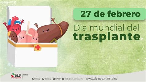 Hoy se conmemora el Día Mundial del Trasplante de Órganos y Tejidos