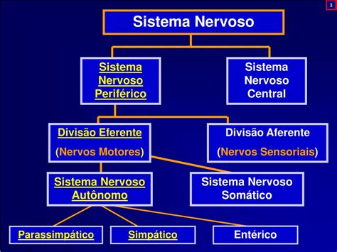 Ppt Farmacologia Do Sistema Nervoso Autônomo Powerpoint Presentation