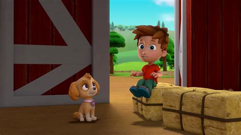 Watch Paw Patrol Season 4 Episode 27 : Pups Save Farmer Alex - Watch Full Episode Online(HD) On ...