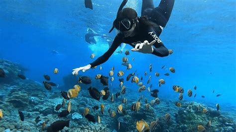 Nusa Dua Snorkeling: Complete Guide