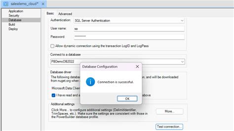 Configuring The Database PowerServer 2022 R3 Help