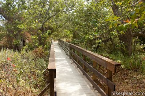 Nature Trail | El Capitán State Beach | Goleta | Hikespeak.com