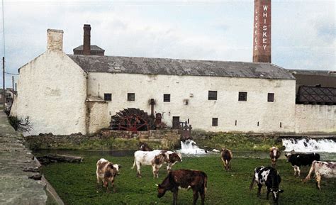 ireland  colour atoldirelandincolour  threads