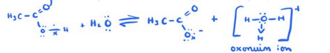 UNIT 9 Lecture 48 Titration Curves And Indicators Flashcards Quizlet