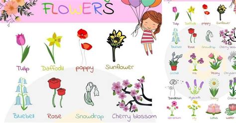 List Of Flowers 200 Flower Names With Beautiful Images • 7esl