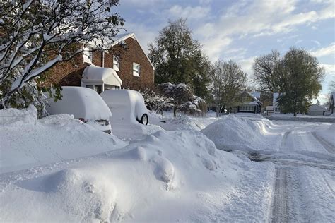 Buffalo Snow