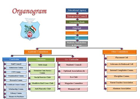 Organogram St Joseph College Of Teacher Education For Women