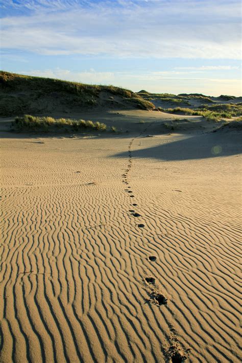 Footprints on Beach Sand · Free Stock Photo