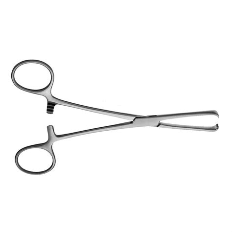 Stainless Steel Powder Coated Allis Tissue Forcep Sizedimension 24cm