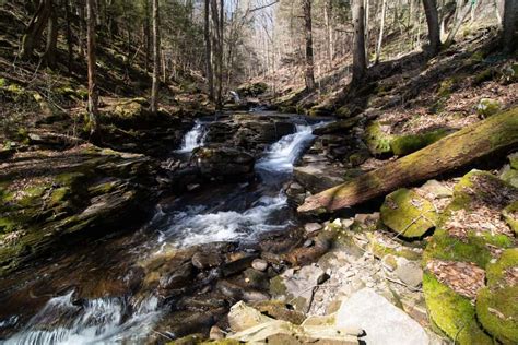 A Complete Guide to the Worlds End State Park Hiking Trails - PA on Pause