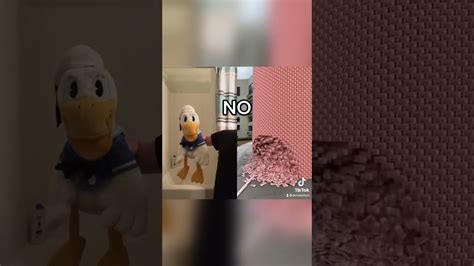 Donald Duck Is Really Mad Shorts Youtube