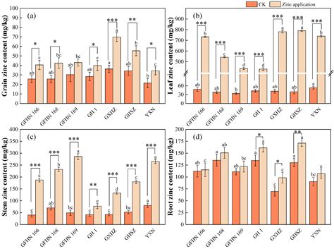 Zinc Biofortification Of Selective Colored Rice Cultivars Improvement Of Zinc Uptake Agronomic