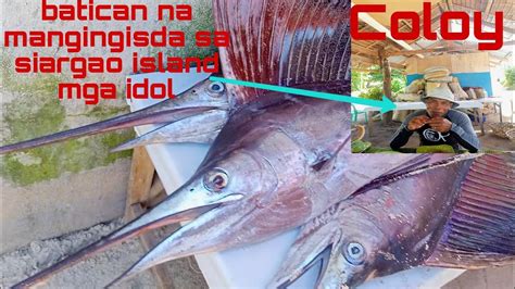 Grabi Mga Idol Tatlong Piraso Ang Huli Ni Coloy Mga Idol Na Isda Blue