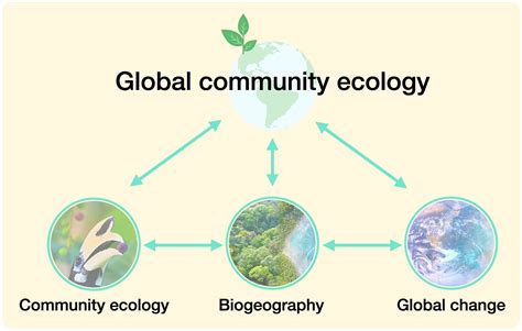 Research — Ian McFadden | Global community ecology