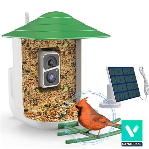 VicoHome Solar Bird Feeder Camera Camapp365